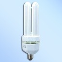 Compact Fluorescent Energy Saving Lamp